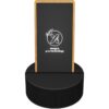 Speakerstation van 2 x 3 W en inductielader van 10 W