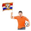 Vlag met leeuw