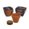 Terracotta bloemzaadjes