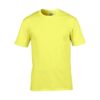 Premium Cotton Adult T-Shirt