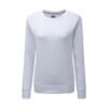 Ladies HD Raglan Sweat
