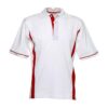 Scottsdale Polo