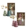Giftset vaasjes met droogbloemen