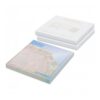 Memoblaadjes MediumSmall 100 vel FC