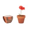 RED POPPY Potje Klaproos