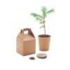 GROWTREE™ Set met pijnboomzaad