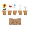 FIORI Bloemen kweekset