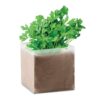PARSELY Compost met peterselie zaadjes