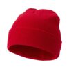 Irwin beanie
