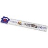 Huis liniaal van 15 cm van gerecycled plastic