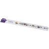 Huis liniaal van 30 cm van gerecycled plastic