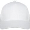 Doyle 5 panel cap