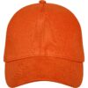 Doyle 5 panel cap