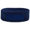 Hoofdband