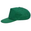 Promo cap