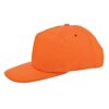 Promo cap
