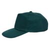 Promo cap