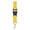 Lanyard