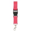 Lanyard