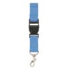 Lanyard