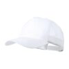 Clipak
