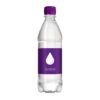 Bronwater 500 ml met draaidop
