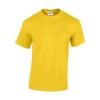 T-Shirt Heavy Cotton Adult full colour