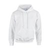 Sweaters Heavy Blend™ Hooded full colour