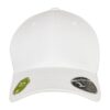 110 Organic Cap