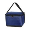 Cooler Bag