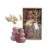 Giftset vaasjes met droogbloemen