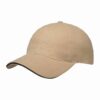 Heavy Brushed Ultimate Sandwich Cap