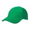 Basic Brushed Cap