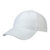 Basic Brushed Cap