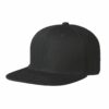 Original Snapback Cap