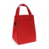 Opvouwbare koeltas & picknickmat