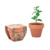 MINT POT Potje munt