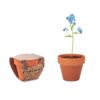 FORGET ME NOT Potje Vergeet-me-nietjes