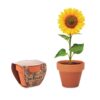 SUNFLOWER Potje Zonnebloem