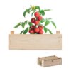 POMO Tomatenkweekset  houten kratje
