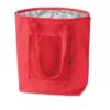 PLICOOL Koeltas van 210T nylon