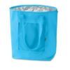 PLICOOL Koeltas van 210T nylon