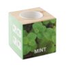 MENTA Kweekset, munt in houten pot