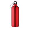 BIG MOSS Aluminium fles 75 cl.