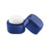 LIPS Lippenbalsem in kubus vorm - SPF10