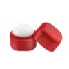 LIPS Lippenbalsem in kubus vorm - SPF10