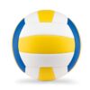 VOLLEY Volleybal
