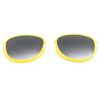 Lenzen Options