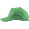 Cap 5 panel brushed met gesp sluiting