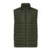 Iqoniq Meru heren gerecycled polyester bodywarmer